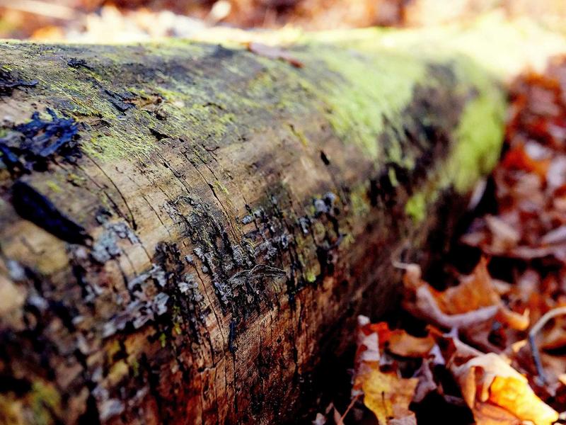 sudoku challenge mode