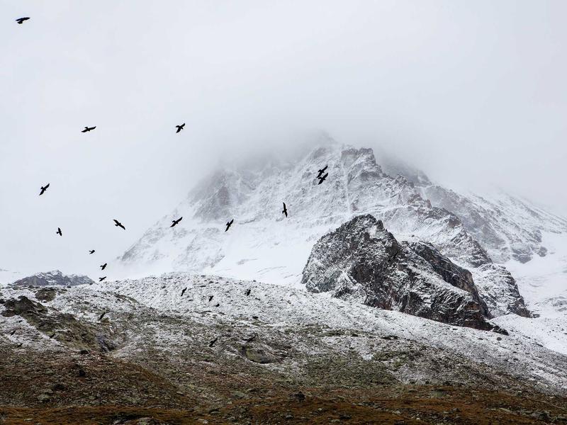 sudoku cloud sync screenshot 3